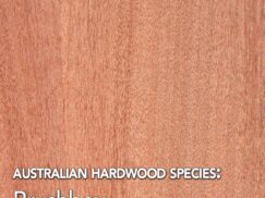 Australian Timber Species Brushbox