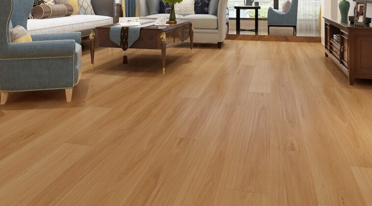 Blackbutt