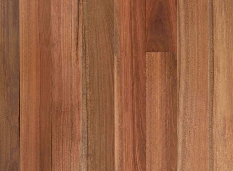Australian Spotted Gum Square