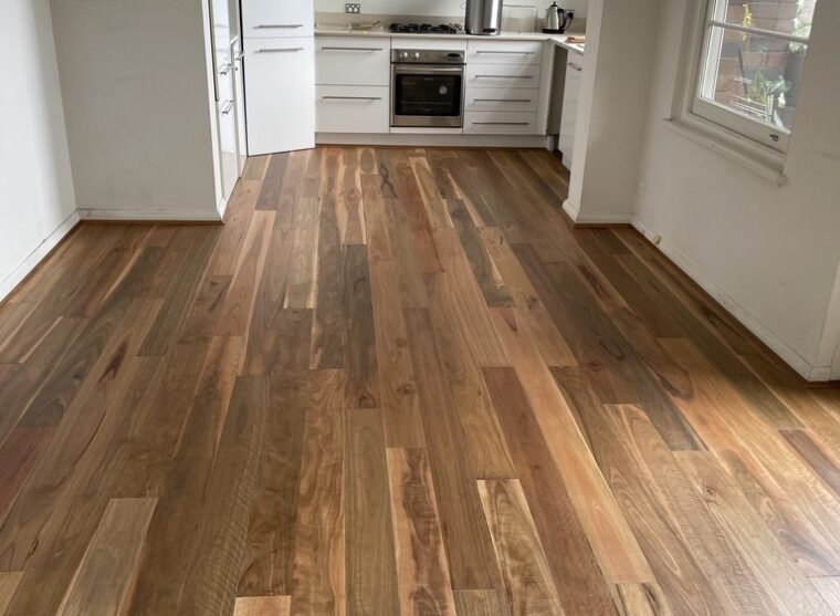 Spotted Gum