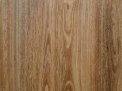 3017 Spotted Gum