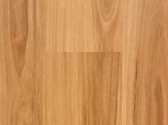 Blackbutt Hybrid(1)