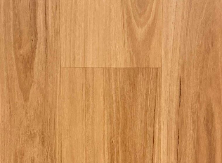 Blackbutt Hybrid(1)