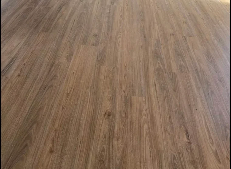 Spotted Gum4