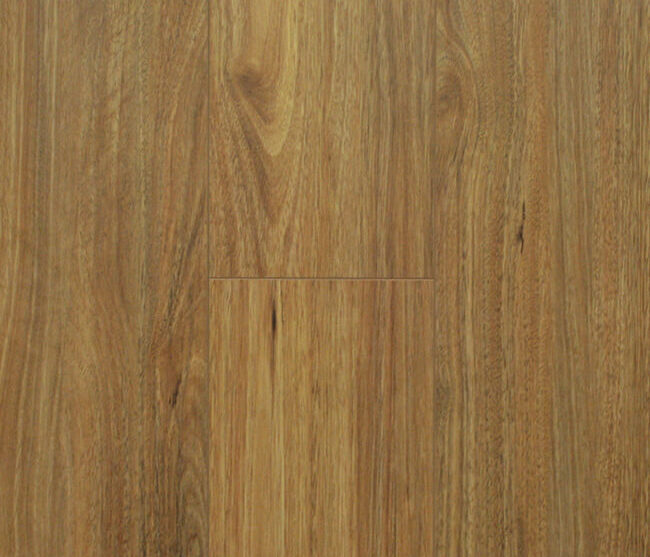 Nsw Spotted Gum