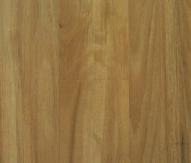 Tasmania Oak